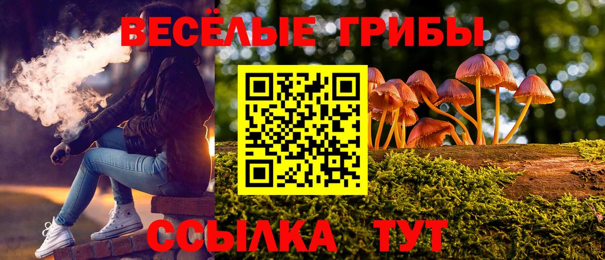 Псилоцибиновые грибы Psilocybine cubensis Кропоткин