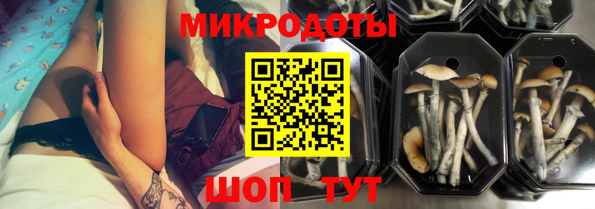 Галлюциногенные грибы прущие грибы  Вход с VPN  Кропоткин 